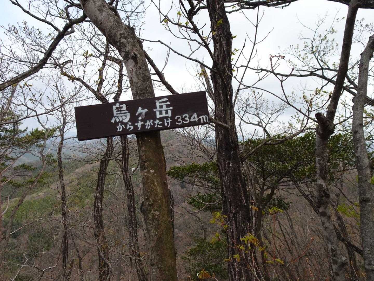 出尾根コース登山口-三床山 周回コースの写真