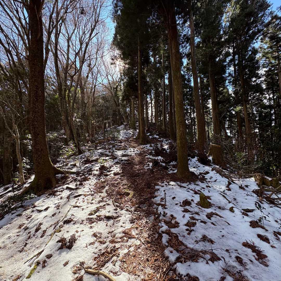 尾根に出て