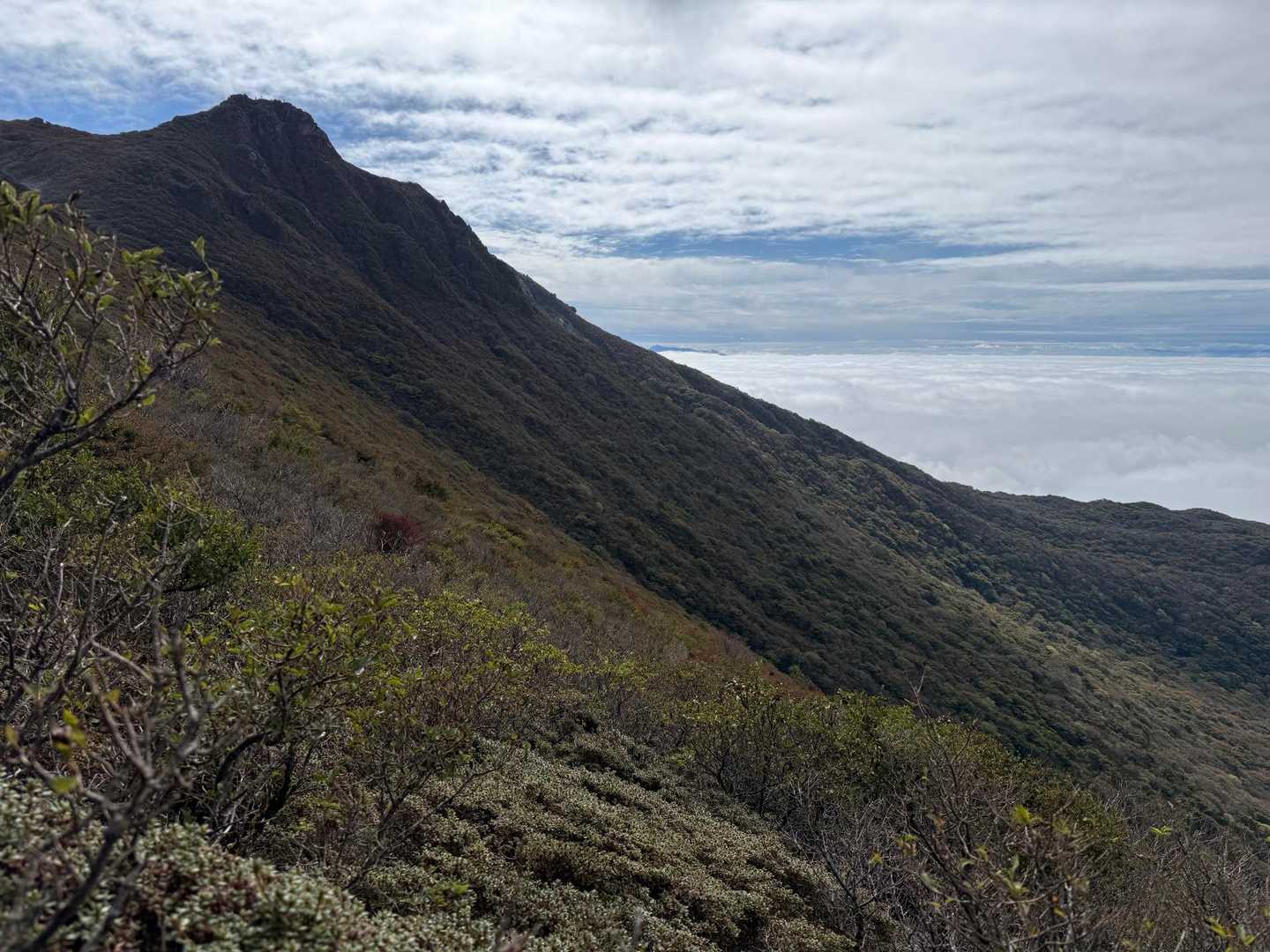 さあ、大船山⛰️
