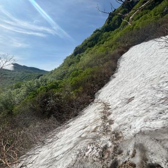 残雪