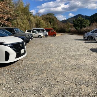 今日はおしまい
良き登り初めになりました👍