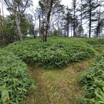 分岐左に行くと牛王院平