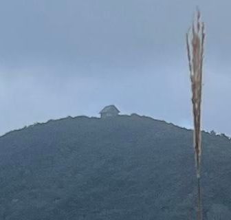 避難小屋上にも雲が…雨降ってない？？
とりあえず残り時間にも余裕無いので、
今日はここまでで撤退します😎