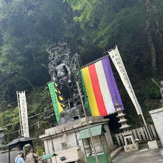ケガ無く下山