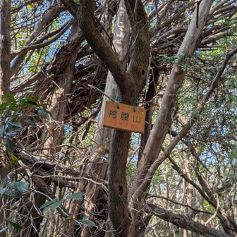 袴腰山　下から見上げると袴のような台形の稜線なんだって
旨いこと名付けてあるね