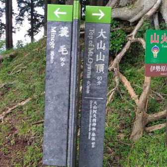 蓑毛越え