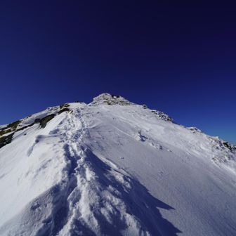 大山ブルーが綺麗