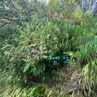 分岐をまずは左へ