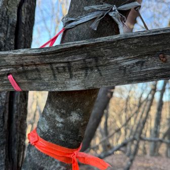 ここは「寺山」なはずだけど、隣の山の名前が書いてある。