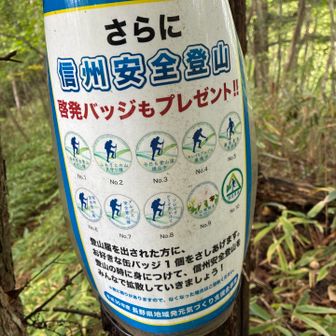 これは貰わなかった