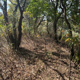 県立森林公園に続く稜線。これから下山。