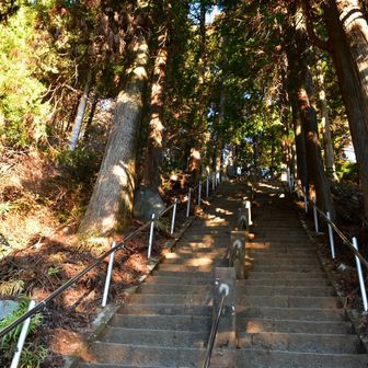 のっけから階段地獄😅