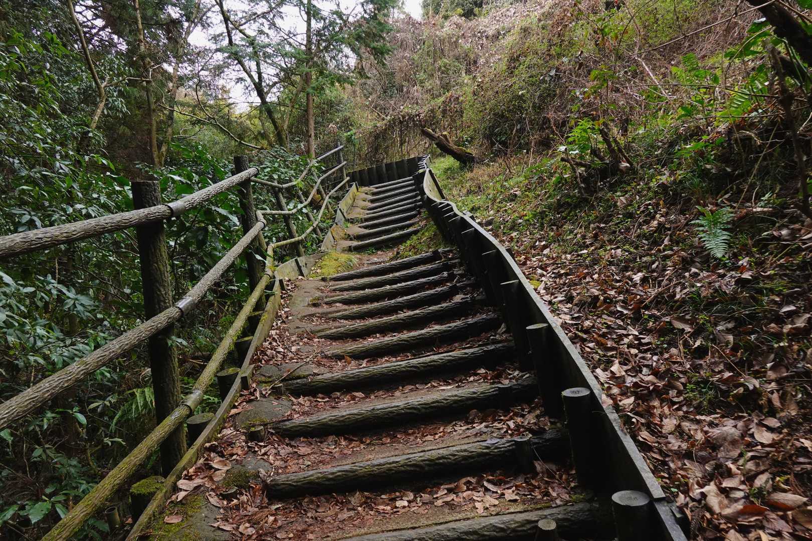 階段上がるって行くと・・