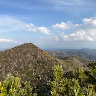 💁‍♀️…【三国山、山頂】…
今日は…行けなかったケド…😭
仕方ない💪…娘ちゃんと3人でココ迄
来れただけでもヨシっ💪