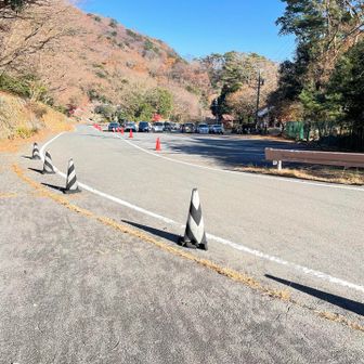 戻ってきました