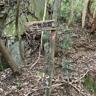と、思ったけれど､､､
かなり荒れてます😣