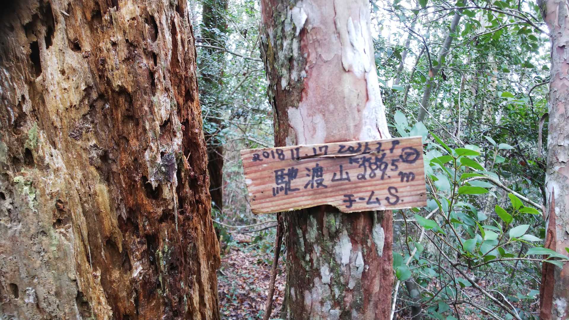 馳渡山の写真