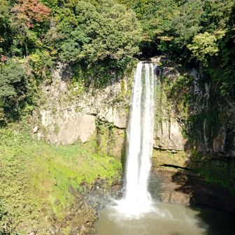 何回か来た事あります。