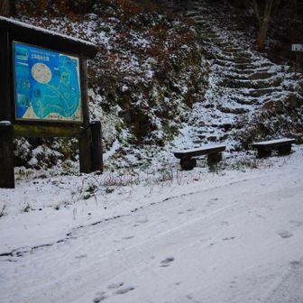 水の元に着きました
思ったより積もってます❄️