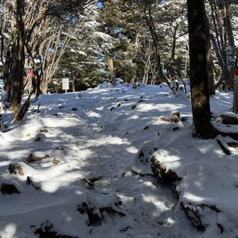 とりあえず山頂へ