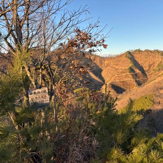 18座目　小友沢の頭⛰️