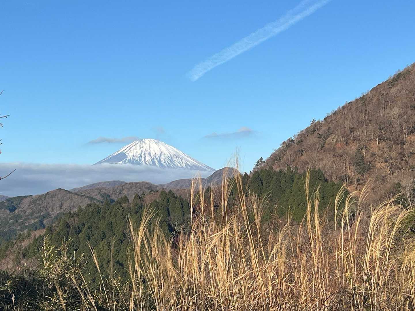 気を取り直して明神ヶ岳に向かう。富士山がやばいです。