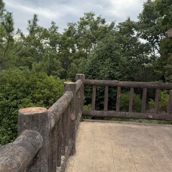 展望台　フラワーパーク見れたよ
