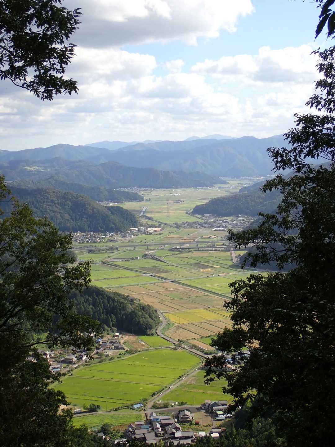 途中の景色🍀　THE里山