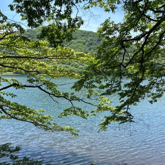 ひともっこ山から降りてきたところ