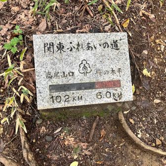 あと6㌔！