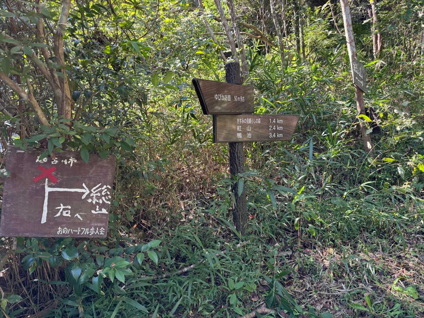 とりあえず登っとけ⤴️