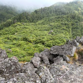 高感度あり