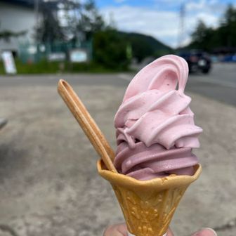 下山後のソフトクリーム🍦
巨峰とこけもも🍇