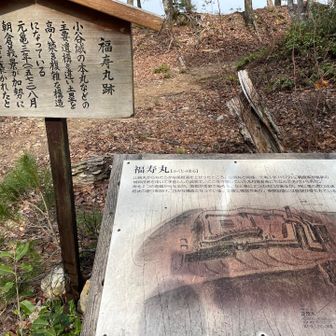 福寿丸跡。朝倉義景との繋がり