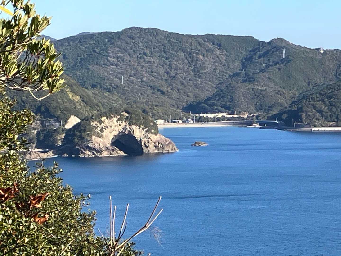 コレめっちゃ気になるー