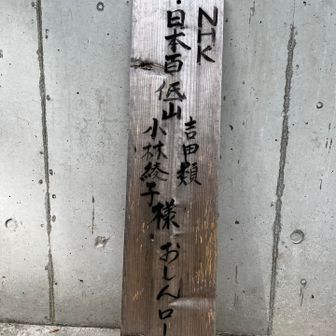 見ましたよ！