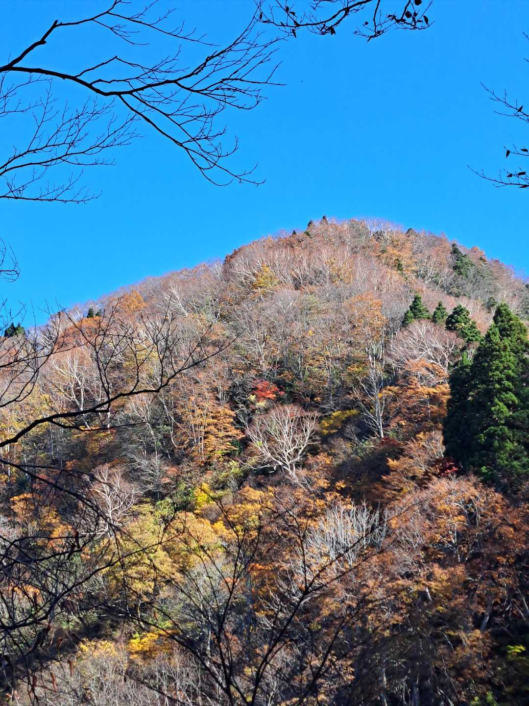 遠方から見える大辻山。