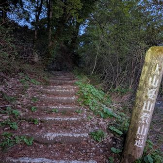 夏山登山道