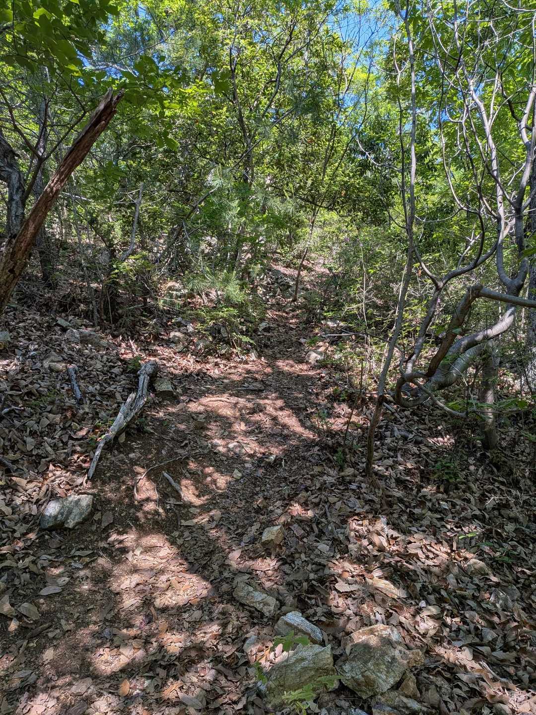 登山口まで下りました🙇