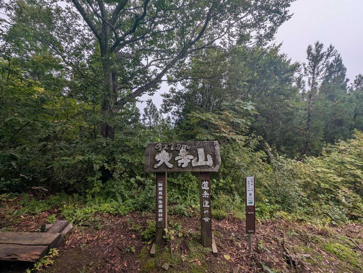 そして大寺山に到着。ウエット路面の下りは苦手🤷なので、延長はせず赤祖父山はキャンセルして引き返します
