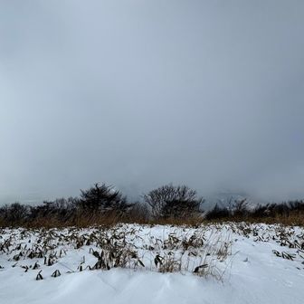 中蒜山すら 見えんよ💦