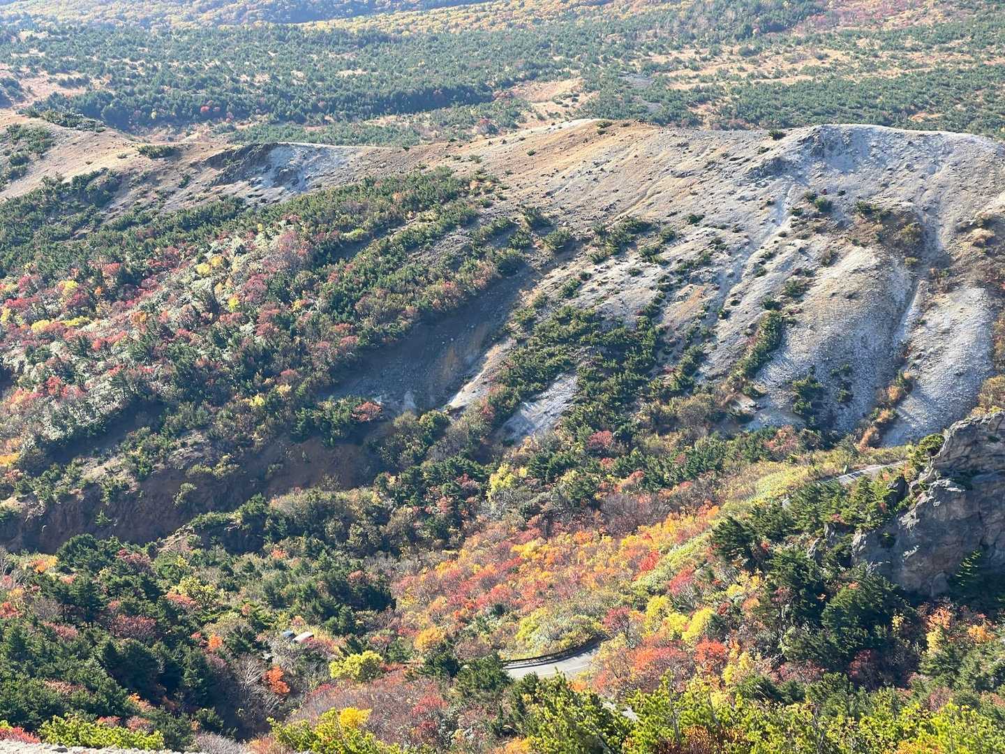 駱駝山 往復コースの写真