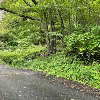 広河原峠入口に着きましたが、先程見た予定時刻より20分以上早く着きました。

バス乗る前に汗臭くて汚いのを何とかしなきゃ。