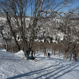 ポンキモ向かってるところ