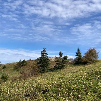 山頂見えた。
