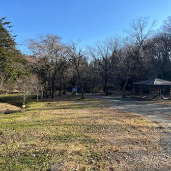 散策路 池の周り