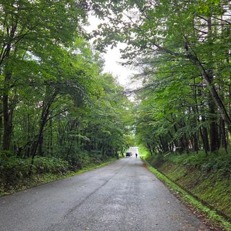 ダラダラとした下りが長かったてす。

お疲れさまてした。