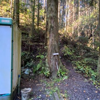 トイレ横の尾根コースから！