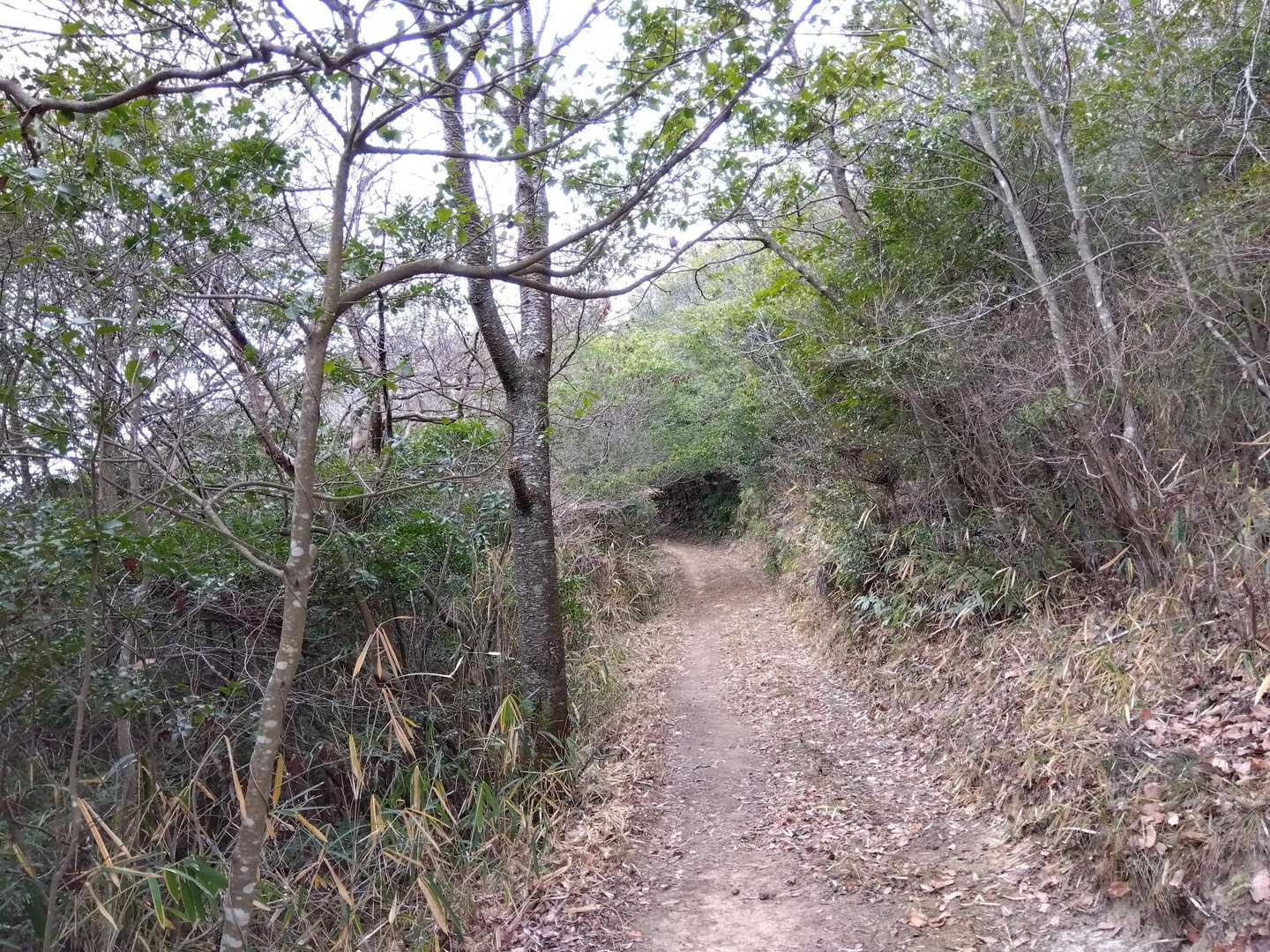 トンネルに見える左側の道に進みます。