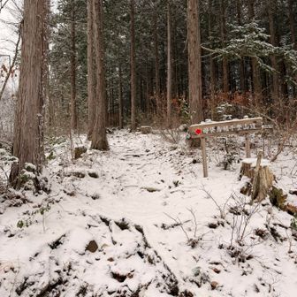 この辺りはまだツボ足で行きます🥾